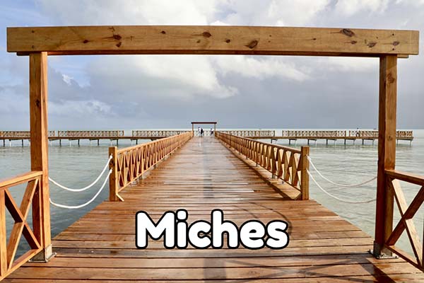 Miches